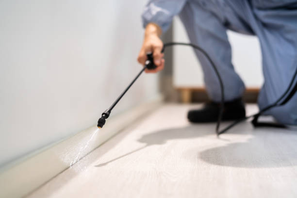 Licensed Pest Control service in Crenshaw, MS - Show Me Pest Control